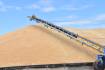 Big spreads emerge as farmers count cost of grain downgrades