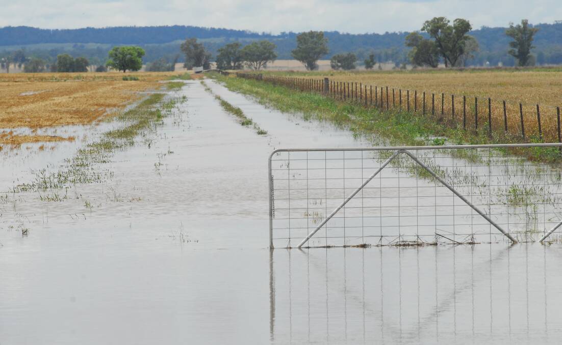 SOGGY: Wet conditions are delaying the finalisation of the summer crop harvest.