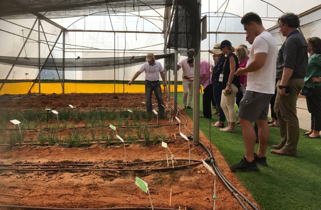 Members of an Aussie delegation to Israel look at innovative irrigation solutions.