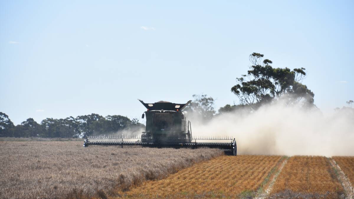 In spite of weather damaging quality yields remained surprisingly high in Victoria, which set production records, along with WA and SA. Photo by Gregor Heard.