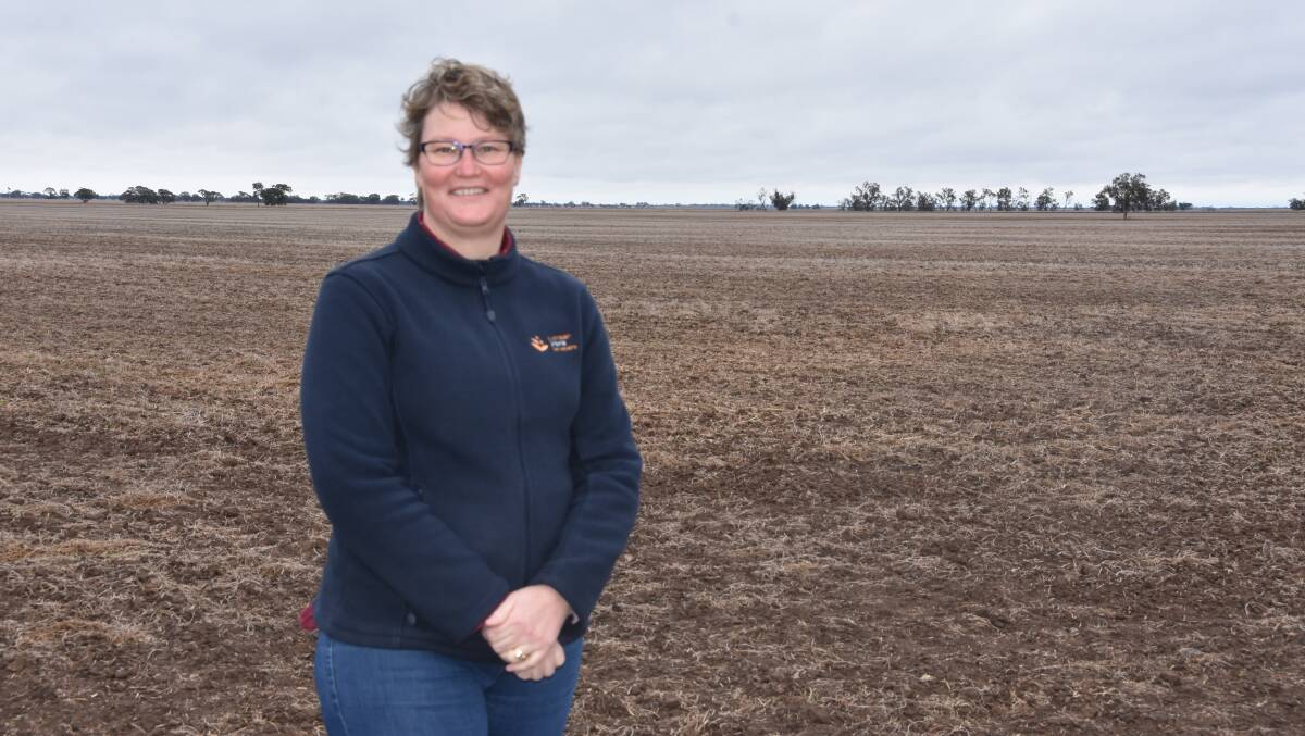 Sally Norton, manager of the Australian Grains Genebank, says plant breeders are accessing genetic material from wild relatives to cultivated crops native to Australia.