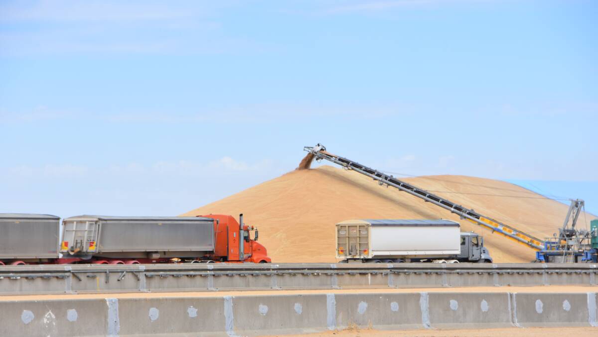 Australia's grain industry classification systems will be given an update by industry good body Grains Australia. Photo by Gregor Heard.