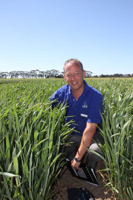 SFS chief executive Jon Midwood is excited by the potential of emerging new wheat varieties. 