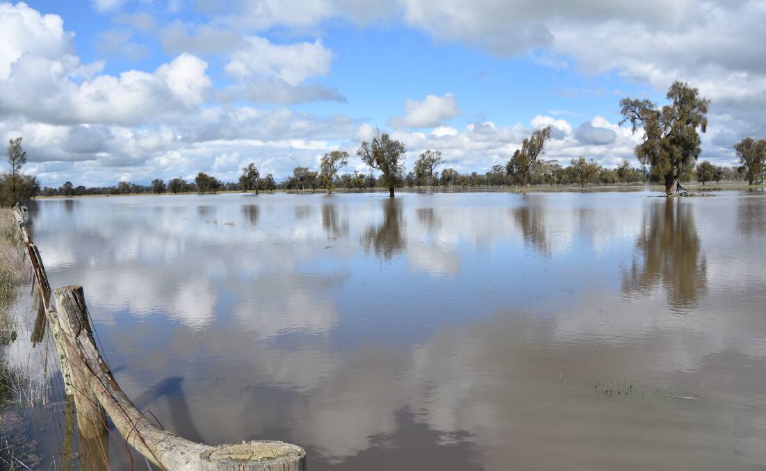 Wet paddocks could be a common sight for at least another month, with Bureau of Meteorology modelling showing neither the La Nina nor Indian Ocean Dipole negative events were breaking down as yet. Photo: Gregor Heard.