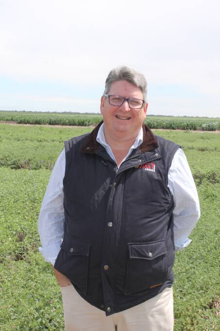 Peter Wilson, AGT Foods, expects the strong prices on offer for Kabuli chickpeas to continue at least in the short-term.