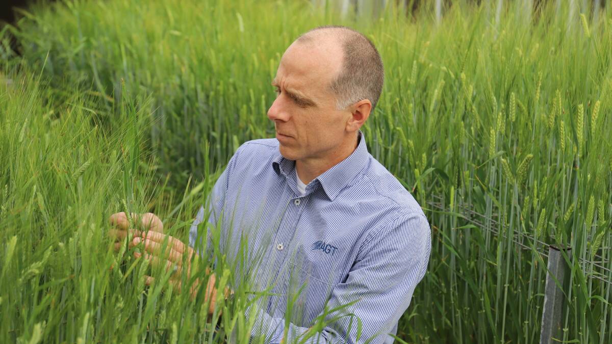 AGT head of science and business development Tristan Coram is excited by the opportunities for the CoAxium system in barley.