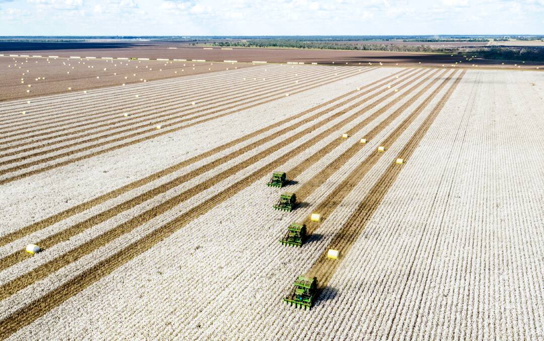Cotton harvest at the Coulton family's property at Boggabilla, NSW, earlier this year. PHOTO: Wayne Pratt Photography and Video.