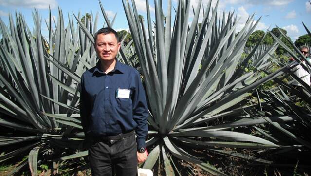 Associate Professor at the Unversity of Sydney Daniel Tan with agave plants.