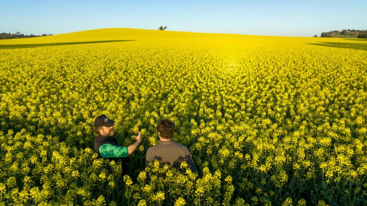 Nutrien is hoping its agronomic expertise coupled with Cargill's network of customers will help in a pilot project looking to reduce emissions in canola production systems. Photo courtesy of Nutrien.