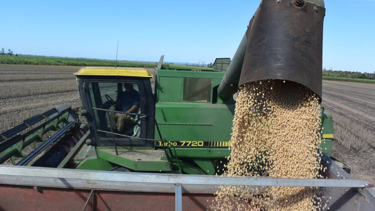 THE GOOD OIL: Australia's soybean producers are looking at good prices leading into harvest.