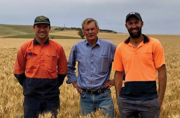 WONDERFUL WHEAT: Hannaford's Mick Coleman (centre) with brothers Simon and Nick McCormack in a paddock of Scepter wheat at Snowtown last year.