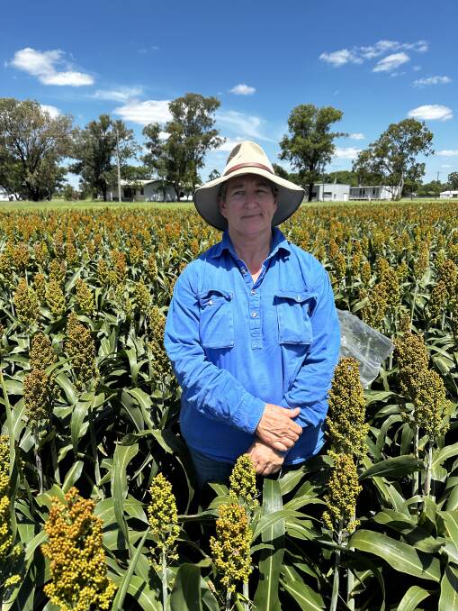 Melina Miles says fall armyworm numbers have built up this season. Photo courtesy of GRDC.