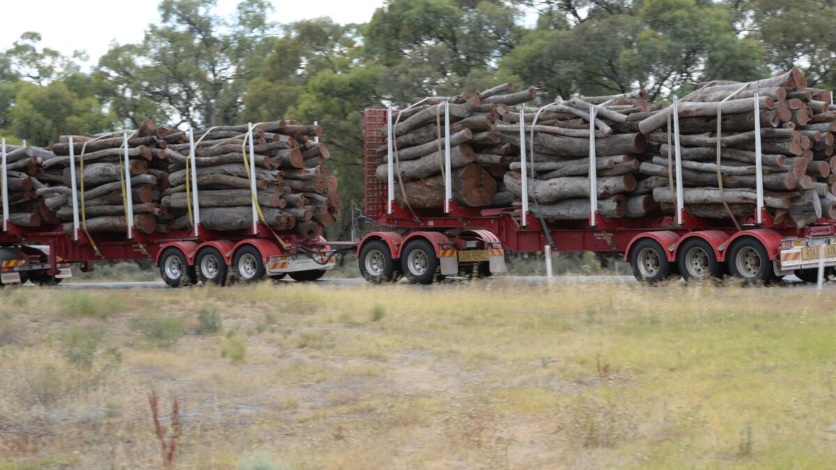 Victoria is set to phase out logging of native forests.