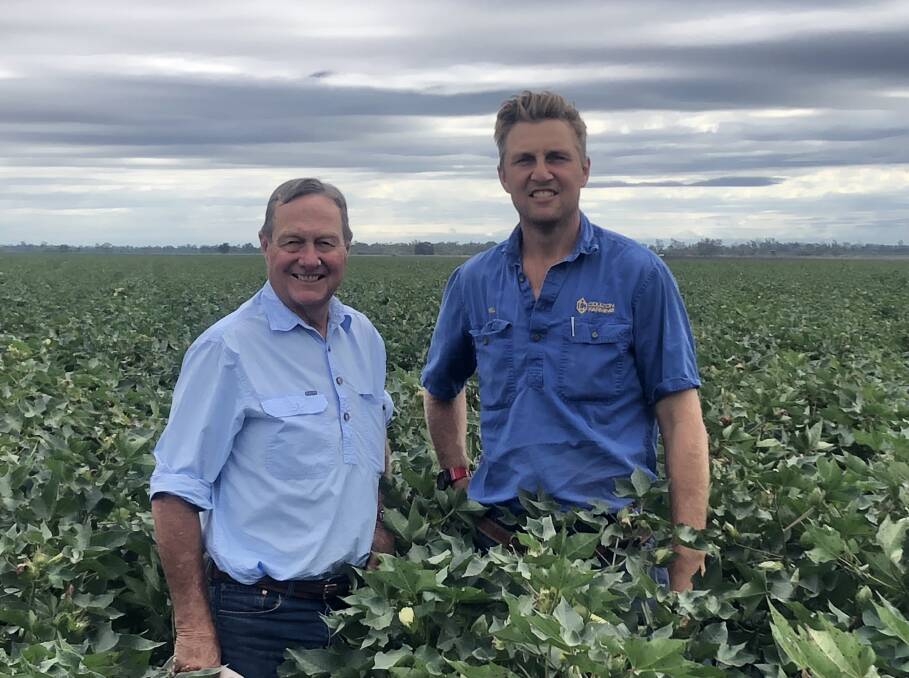 WINNERS: Ben and Will Coulton of Mullala in Boggabilla, NSW achieved a Uniformity Index (PUI) of 0.271 and a 95.9 per cent establishment rate, making them the winners of the dryland category in the Fast Start awards.
