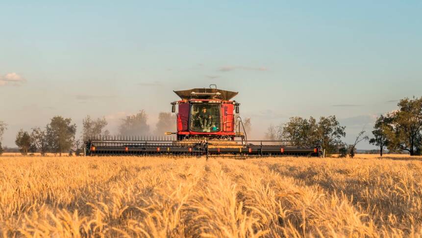 Australia's barley harvest is hitting full swing but there is still uncertainty about trade with our largest international buyer of barley, China.