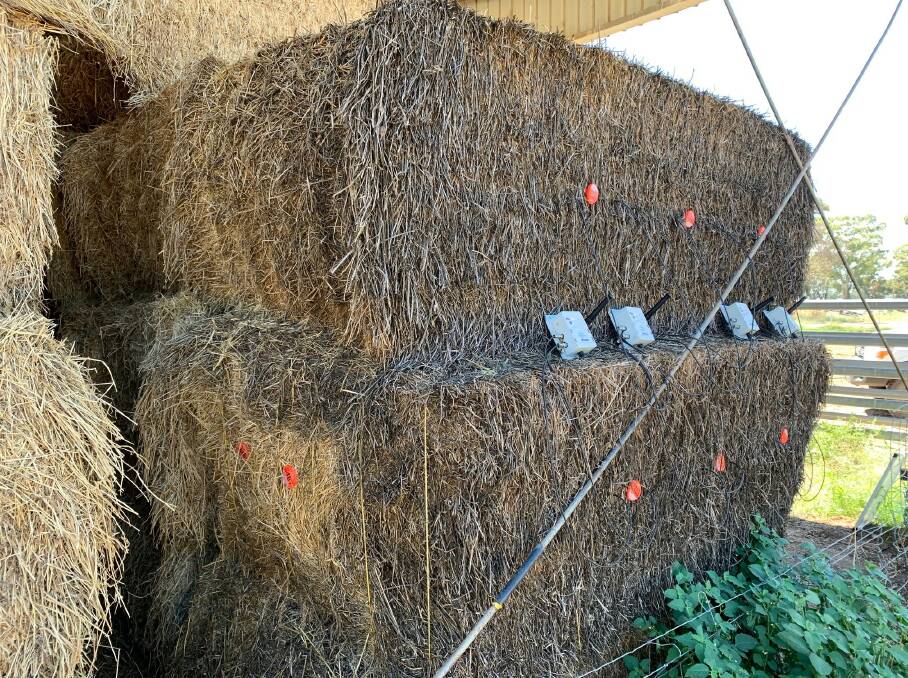 Farmers will be alerted to rising temperatures in haystacks via sensors as part of the research project. Photo: John Broster.