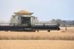 Grain group hits out at WTO action