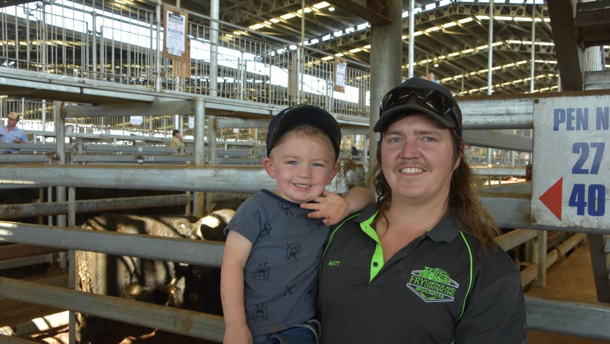 Axel Fry, together with dad Matt, Broadwater, near Port Fairy, enjoyed Thursday's Mortlake sale, the family selling 31 steers, average weight 331kg, at $5.08/kg.