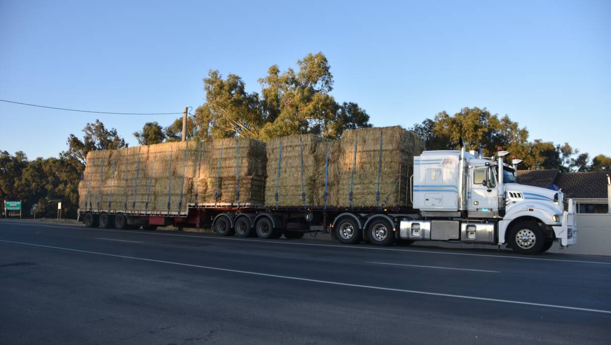 Both domestic and export hay demand is expected to be down this year.