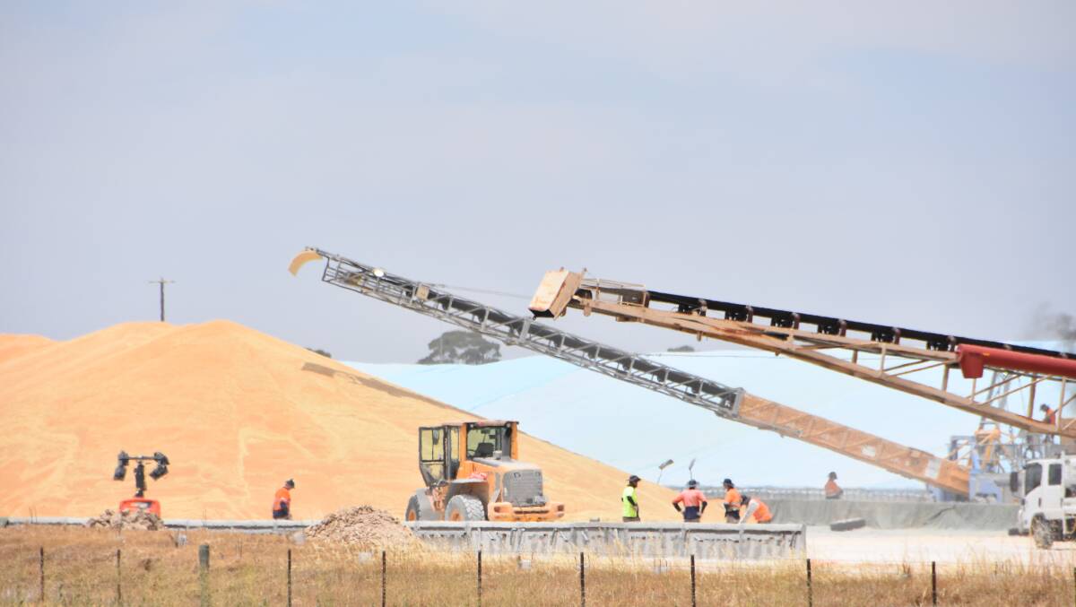 It has been a big year for grain production in eastern Australia this harvest. Photo: Gregor Heard.