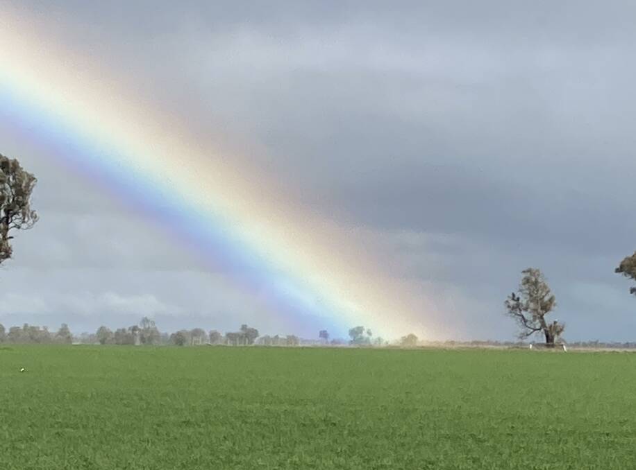 RAINBOW ROAD: Farmers are hoping this season, which has huge yield potential combined with high prices, delivers a pot of gold come harvest.