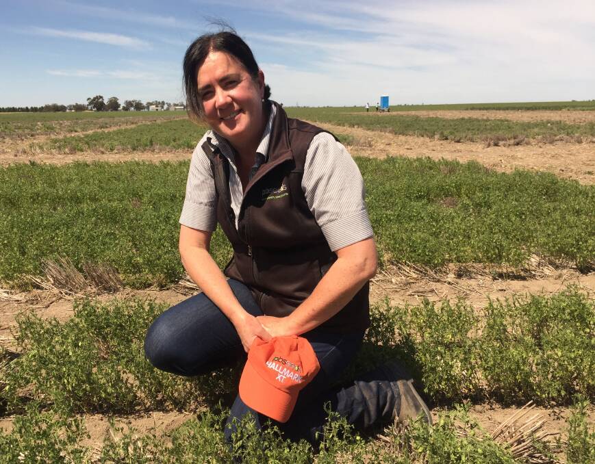 Janine Sounness, PB Seeds, launches a new lentil, Hallmark XT, at last year's southern pulse agornomy field day.