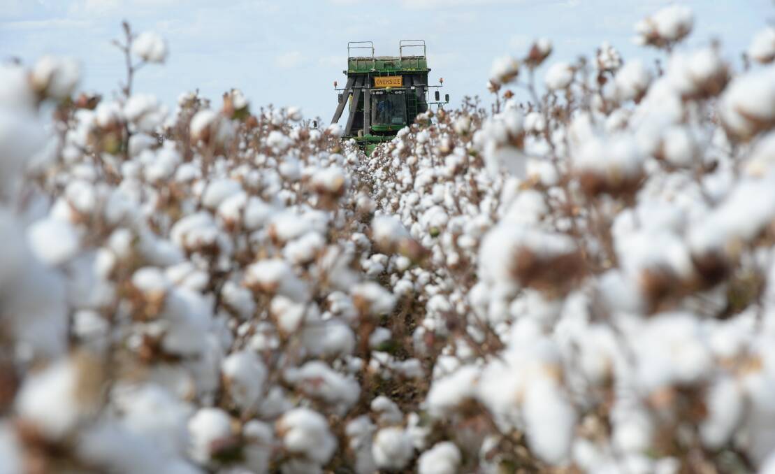 The cotton industry is facing more negative publicity after a northern NSW cotton producer was found guilty of breaches of the water management act.