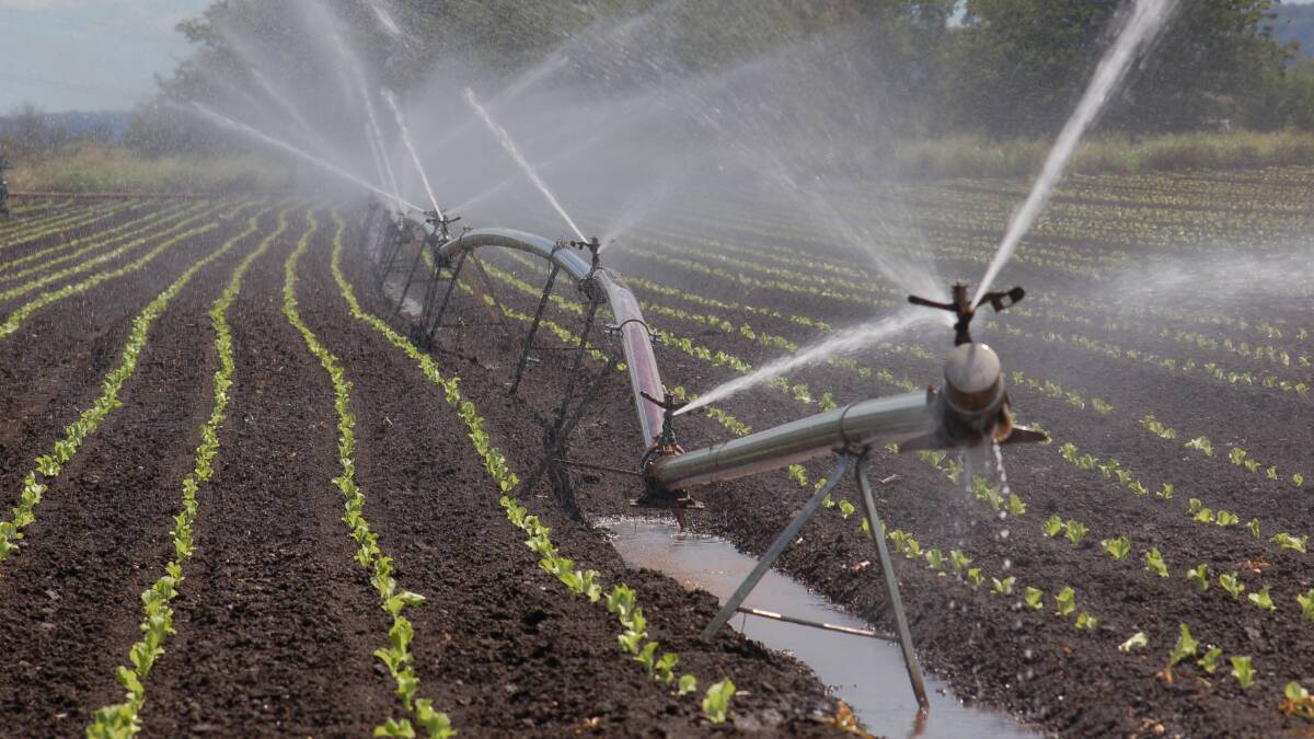Irrigators may be better off switching out of crops such as canola and cotton into higher value horticulture crops according to Bond University research. File photo.