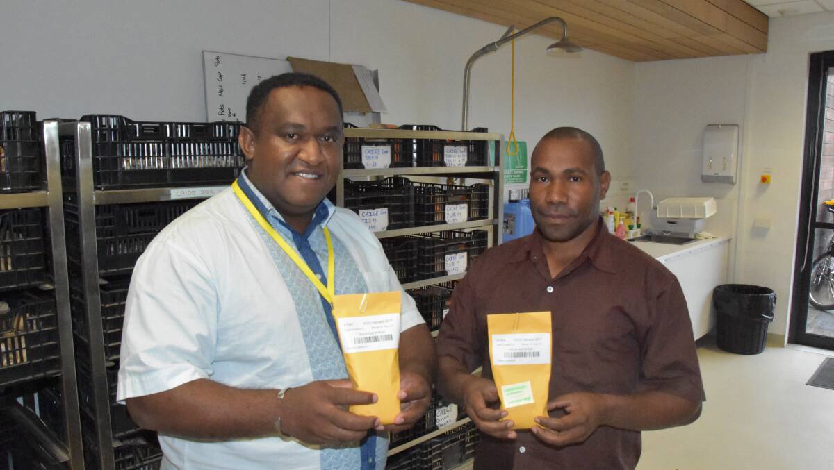 Jimmy Wanma, West Papua and Gibson Sasanika, Papua New Guinea, visited the Australian Grains Genebank in Horsham last week.