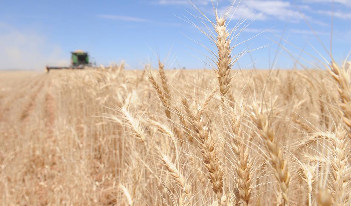 It was bad news for grower creditors in the preliminary GrainPro creditors' report.