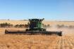 India reduces lentil tariffs as Canadian crop shrinks