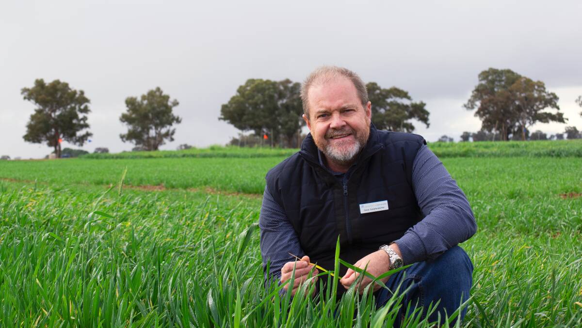 Steven Simpfendorfer, NSW Department of Primary Industries, warns of a high risk of fungal disease in cereals this year. Photo contributed by GRDC.