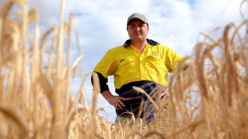 Wade Dabinett, Grain Producers SA president is delighted farmers can now grow GM crops in his state but is disappointed the changes did not come through in time to allow farmers to plant GM canola this season. 