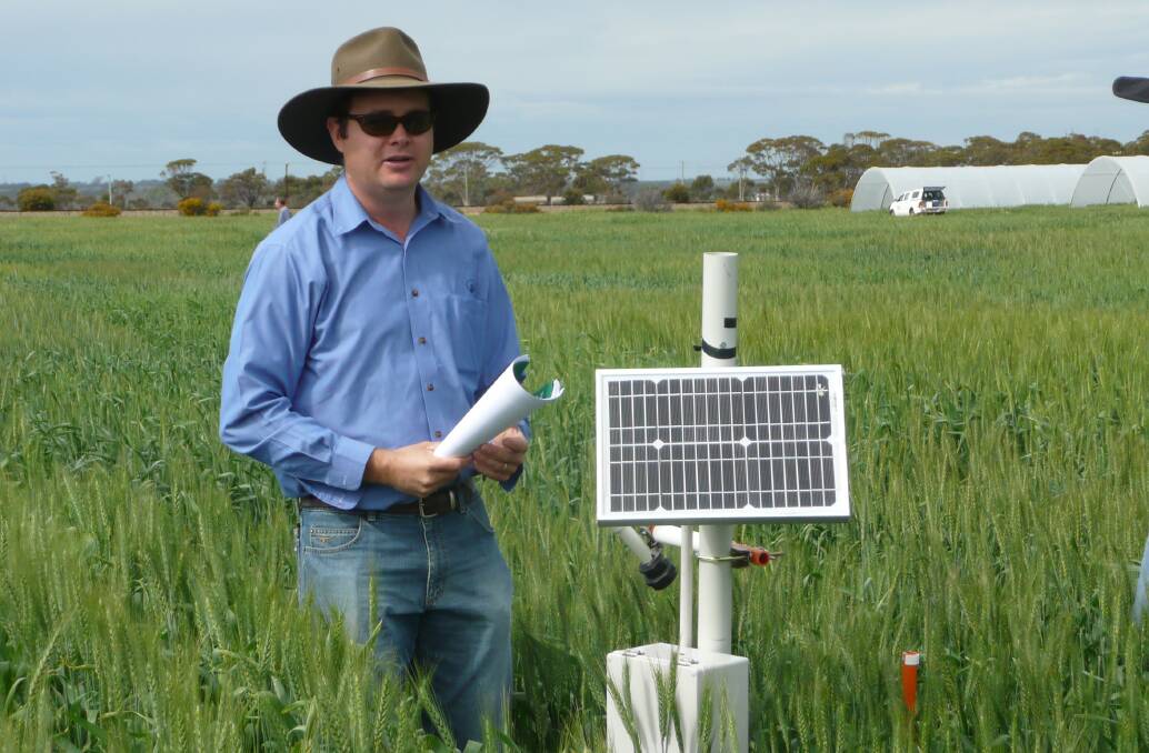 WA Department of Primary Industries and Regional Development (DPIRD) research officer Ben Biddulph says barley is likely to be most damaged by frost in WA.