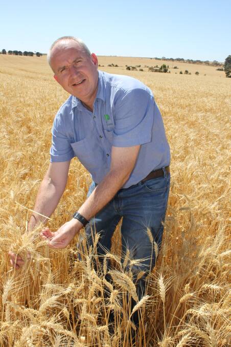 GO WEST: Chris Heinjus, Pinion Advisory, says big volumes of grain are moving from NSW and Victorian into SA where it is being exported, working around a lack of port capacity down the east coast.