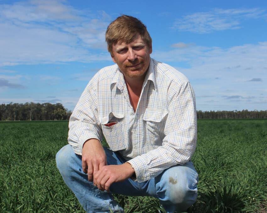 Brendan Taylor, AgForce grains section president, says some farmers are taking the calculated risk to plant summer crop after the planting window has nominally closed as they can use the crop for fodder if it does not look like making it through to grain.