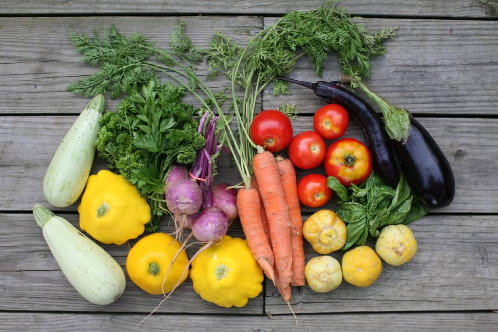Bounty: Organic produce is often regarded as more sustainable but the whole picture needs to be considered according to Patrice Selles, Biotalys. Photo: Ash Walmsley.