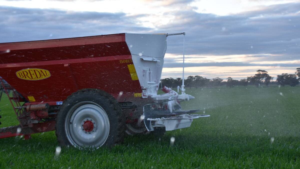 Farmers in Victoria, SA and NSW are keen to get urea on crops with ample moisture. Photo by Gregor Heard.
