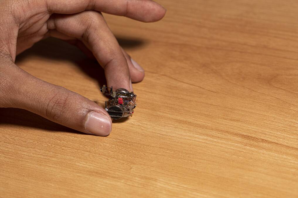 The tiny camera developed by the University of Washington that can be strapped to a bug's back.