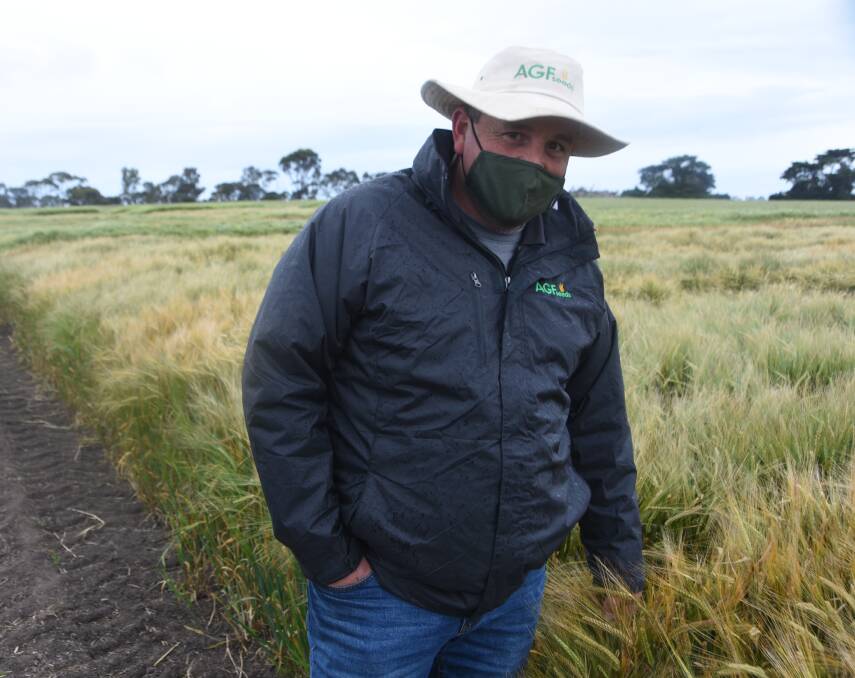 Tim Brown, AGF Seeds, looks at barley at the recent hyper yielding crops field day at Gnarwarre. Photo: Gregor Heard.