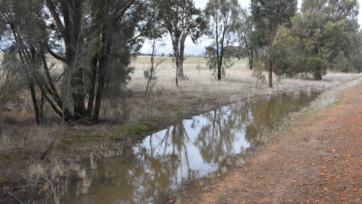 There was water in the table drains in the south-western Wimmera for the first time for the year following 40mm last week.