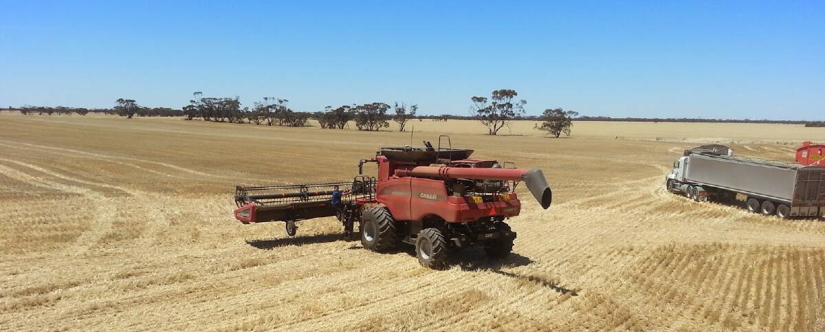 Victorian growers are still primarily harvesting barley and canola.