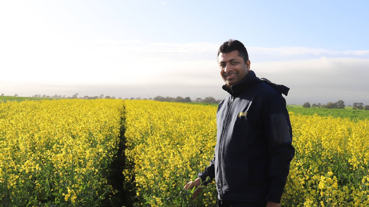 AGT canola breeder Sami Ullah is upbeat about the prospects of his company's three new open pollinated varieties.