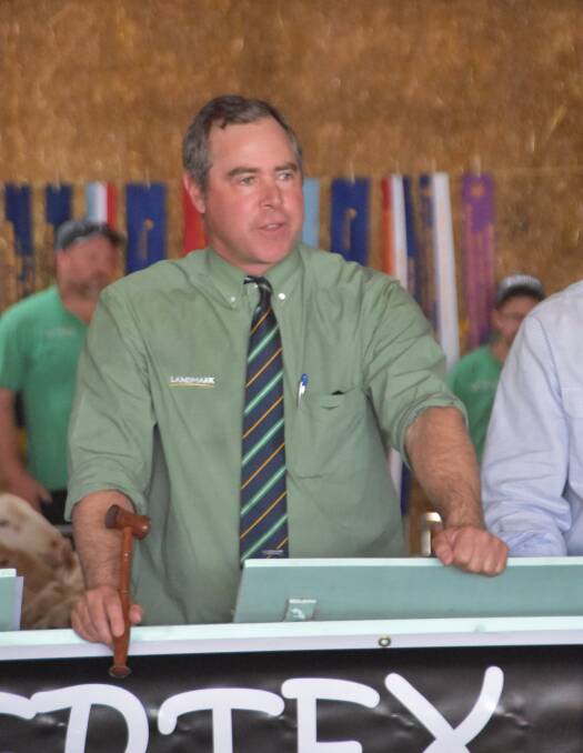 Mat McDonald with the hammer during the Mertex sale last week.