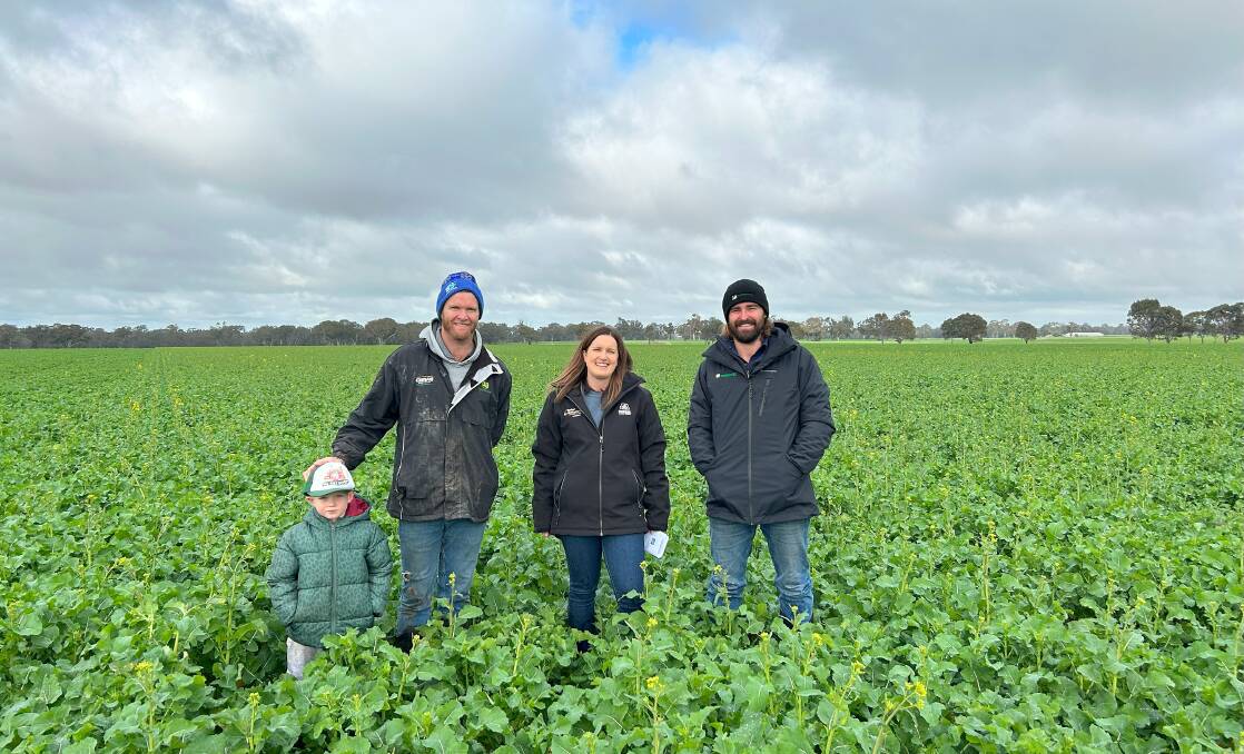 Tex Pekin and dad Nick, Pioneer's territory sales manager Ashleigh Byrne and Western Ag agronomist Sam Gabbe in a paddock of Pioneer's new Optimum GLY canola. Photo supplied.