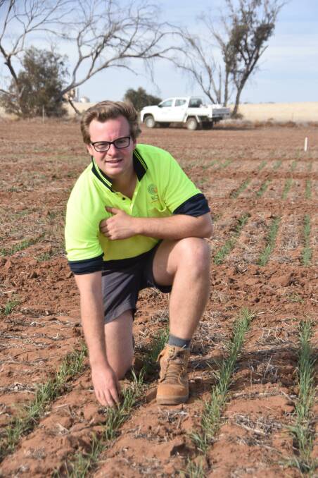 James Murray, Birchip Cropping Group research manager with a time of sowing trial that has been irrigated to get germination in spite of dry conditions in the Mallee.