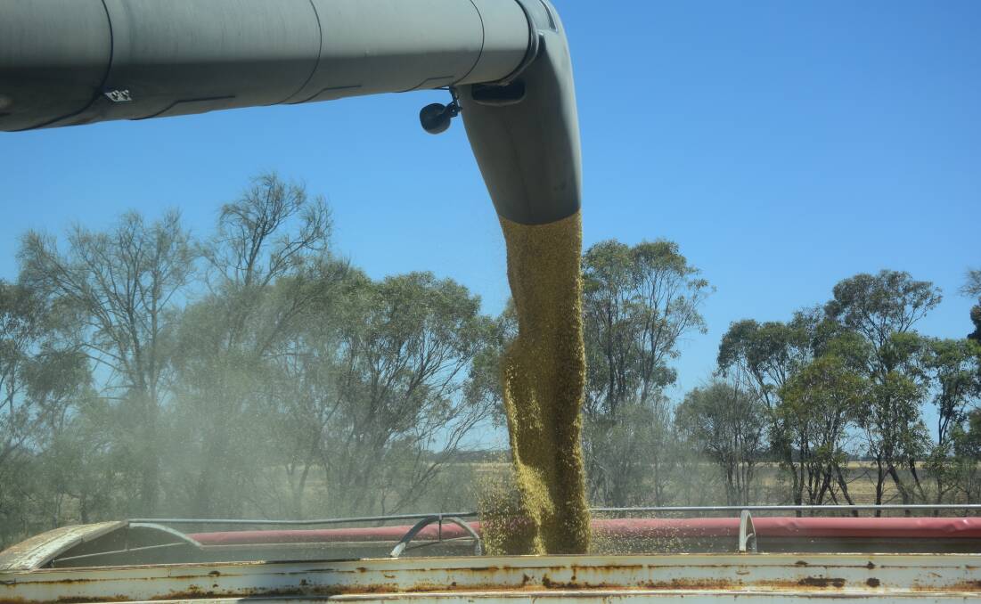 The Australian barley industry believes government funding will help unlock market opportunities.