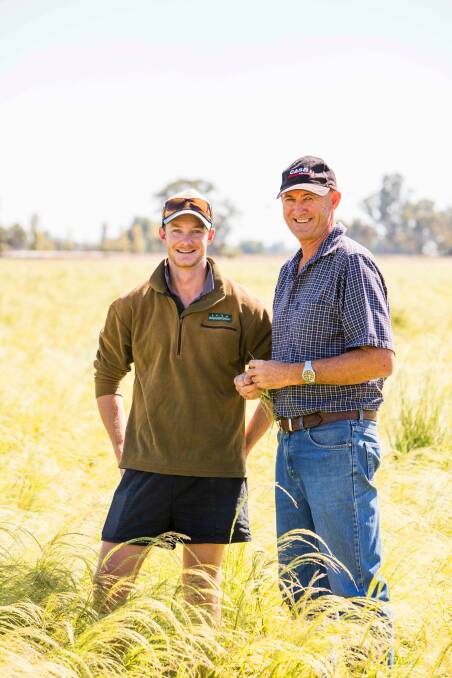 Fraser and Shane McNaul, Wakool, in the western Riverina, are growing the Ethiopian grain teff to retail through their Outback Harvest business.