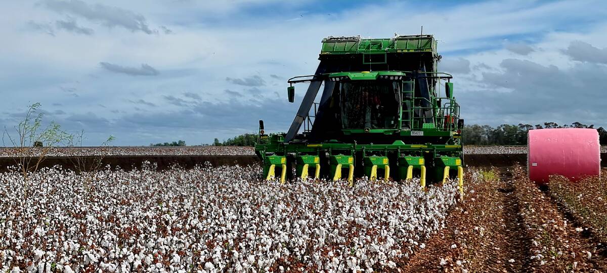 Cotton harvest has begun in Central Queensland, with this crop coming off near Emerald. Photo by Renee Anderson.