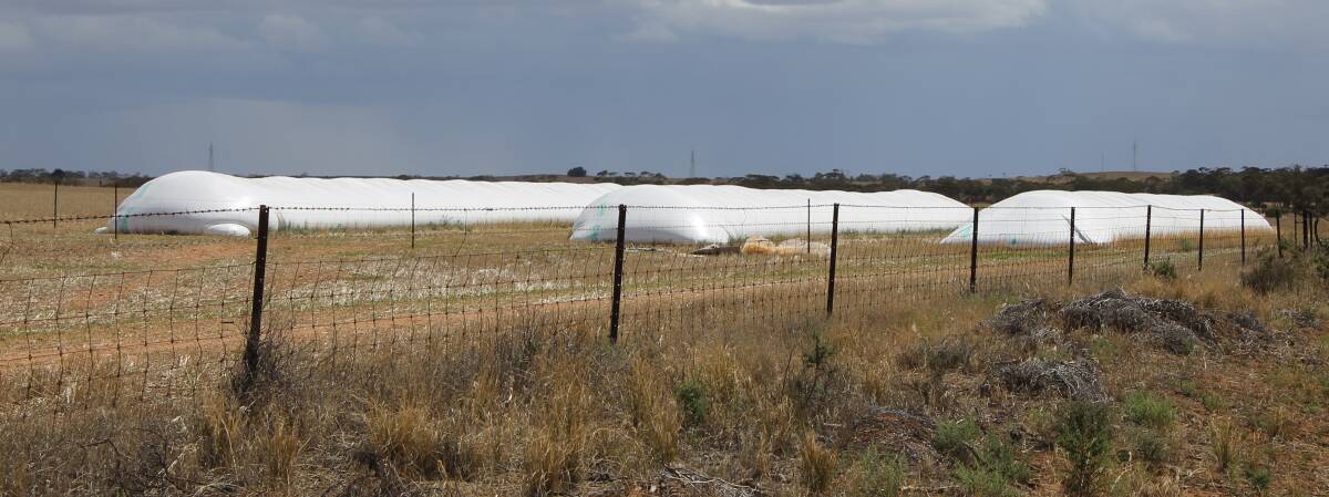 There was up to 2.5 million tonnes stored on the east coast of Australia in grain bags this year according to GrainCorp estimates. 